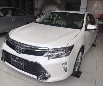 Toyota Camry 2008 - Bán ô tô Toyota Camry 2008, màu trắng, giá chỉ 972 triệu