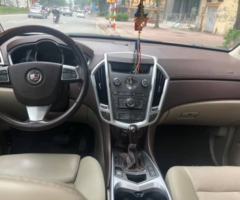 Cadillac SRX SRX 3.0 V6 2010 - Bán xe Cadillac SRX SRX 3.0 V6 đời 2010, màu trắng, nhập khẩu nguyên chiếc