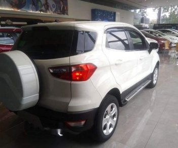 Ford EcoSport   2018 - Bán Ford EcoSport năm sản xuất 2018, màu trắng, giá tốt