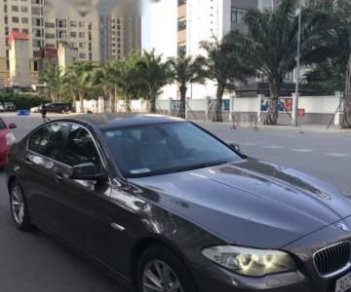 BMW 5 Series 523 2010 - Bán BMW 5 Series 523 sản xuất năm 2010, màu nâu, nhập khẩu