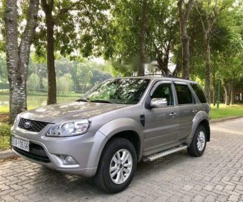 Ford Escape     2011 - Cần bán xe Ford Escape sản xuất năm 2011, màu xám, giá chỉ 425 triệu