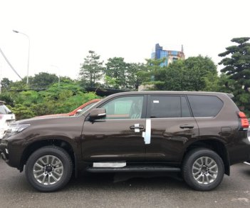 Toyota Prado 2.7 VX 2018 - Bán Toyota Prado 2.7 VX nhập khẩu nguyên chiếc, màu nâu giao xe ngay, hỗ trợ vay tới 85%