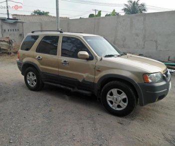 Ford Escape XLT  2003 - Cần bán Ford Escape XLT đời 2003, màu vàng cát, số tự động, giá chỉ 165 triệu