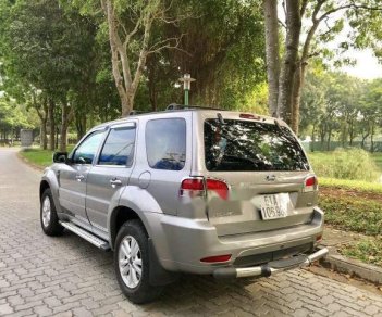 Ford Escape     2011 - Cần bán xe Ford Escape sản xuất năm 2011, màu xám, giá chỉ 425 triệu