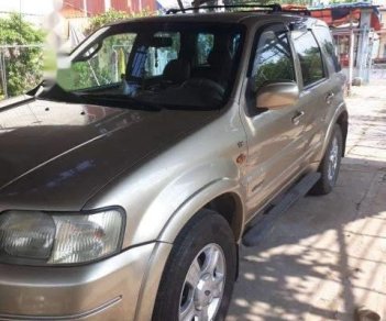 Ford Escape AT 2002 - Cần bán Ford Escape AT đời 2002, màu vàng, 160tr