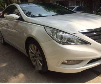 Hyundai Sonata 2010 - Bán xe Hyundai Sonata sản xuất 2010, màu trắng, 565 triệu