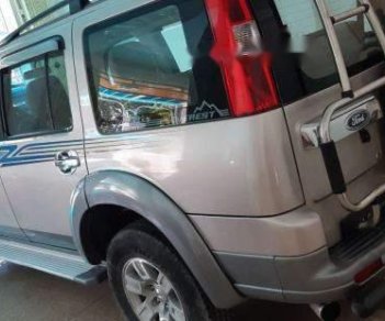 Ford Everest 2007 - Bán Ford Everest năm sản xuất 2007, màu bạc, giá 375tr