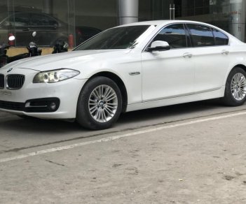 BMW 5 Series 520i 2015 - Bán xe BMW 520i Series năm 2015 màu trắng kem