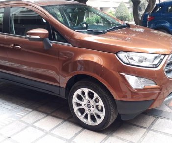 Ford EcoSport Trend 1.5L AT 2018 - Bán xe Ford EcoSport đời 2018, màu nâu, giá tốt ở Ninh Bình, chỉ từ 120tr lăn bánh ngay, sẵn xe giao ngay