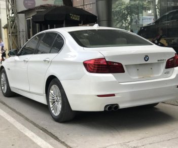 BMW 5 Series 520i 2015 - Bán xe BMW 520i Series năm 2015 màu trắng kem