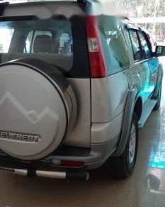 Ford Everest 2007 - Bán Ford Everest năm sản xuất 2007, màu bạc, giá 375tr