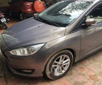 Ford Focus 2017 - Bán Ford Focus đời 2017, màu xám, 500 triệu