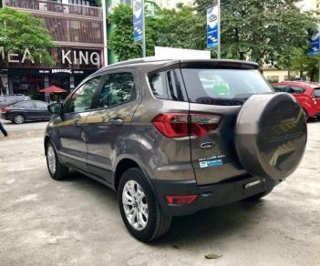 Ford EcoSport 2017 - Chính chủ cần bán lại xe Ford EcoSport 2017, màu xám