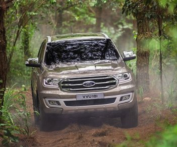 Ford Everest 2018 - Bạn có muốn sở hữu Ford Everest 2018, mẫu xe đầy sức mạnh. LH: 0935.389.404 Hoàng Ford Đà Nẵng