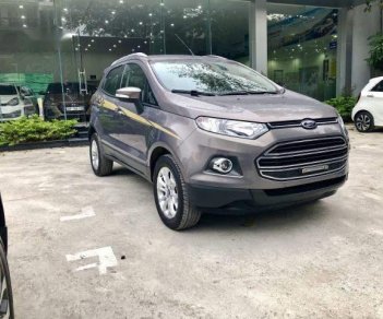 Ford EcoSport 2017 - Chính chủ cần bán lại xe Ford EcoSport 2017, màu xám