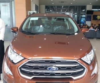 Ford EcoSport Titanium 1.5L 2018 - Bắc NInh ford bán Ford Ecosport 2018 giá tốt nhất thị trường, có xe giao ngay, đủ màu, LH 0843.557.222