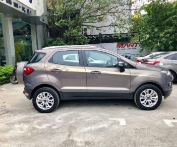 Ford EcoSport 2017 - Chính chủ cần bán lại xe Ford EcoSport 2017, màu xám