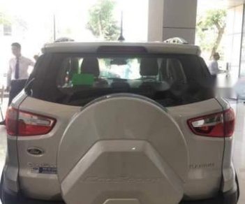 Ford EcoSport 1.0 AT Titanium 2018 - Bán Ford EcoSport 1.0L Ecoboost Titanium sản xuất năm 2018, màu bạc giá tốt