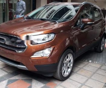 Ford EcoSport 2018 - Cần bán xe Ford EcoSport đời 2018, màu nâu, giá tốt 