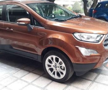 Ford EcoSport 2018 - Cần bán xe Ford EcoSport đời 2018, màu nâu, giá tốt 