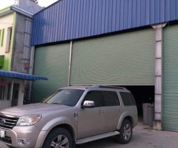 Ford Everest 2009 - Chính chủ bán Ford Everest sản xuất năm 2009, màu hồng số tự động