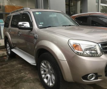 Ford Everest 2013 - Bán xe Ford Everest, số tự động, màu ghi vàng đời 2013