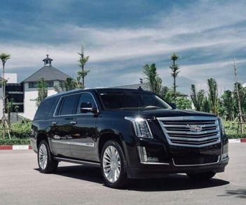 Cadillac Escalade ESV Platinum 2016 - Bán xe Cadillac Escalade ESV Platinum năm 2016, màu đen xe nhập