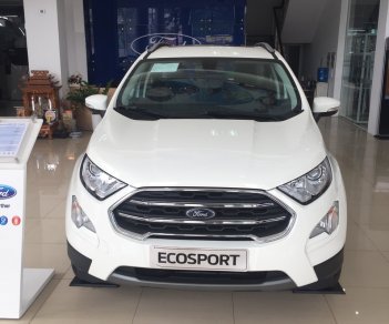 Ford EcoSport Titanium 1.0 2018 - Bán EcoSport 2018, giảm tiền mặt + dán phim, BHVC, lót sàn, bệ bước, trả trước 10%. LH 0989022295 tại Bắc Kạn