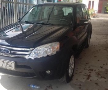 Ford Escape 2010 - Cần bán gấp Ford Escape 2010, màu đen, nhập khẩu 