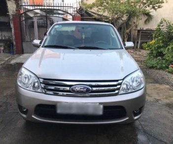 Ford Escape 2009 - Cần bán xe Ford Escape năm 2009, màu bạc, giá tốt