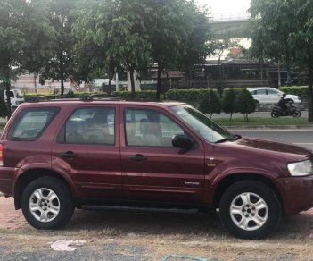 Ford Escape XLT 2002 - Bán Ford Escape 2002 XLT 3.0 V6 2 cầu điện tử