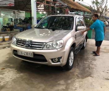 Ford Escape XLS 2.3L 4x2 AT 2009 - Cần bán gấp Ford Escape XLS 2.3L 4x2 AT năm sản xuất 2009, màu hồng 