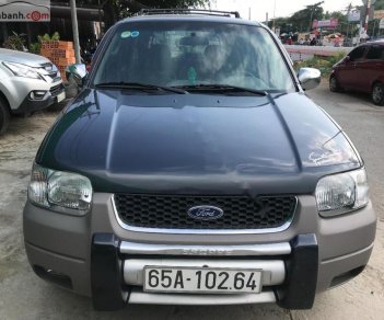 Ford Escape 3.0 V6 AT 2002 - Bán Ford Escape 3.0 V6 AT năm sản xuất 2002, màu xám số tự động 