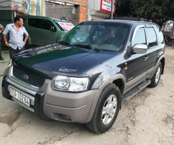 Ford Escape 3.0 V6 AT 2002 - Bán Ford Escape 3.0 V6 AT năm sản xuất 2002, màu xám số tự động 