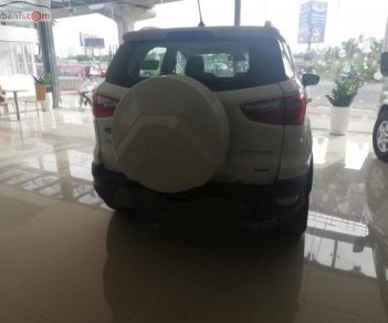 Ford EcoSport Titanium 1.0 EcoBoost 2018 - Bán Ford EcoSport Titanium 1.0 EcoBoost năm sản xuất 2018, màu trắng