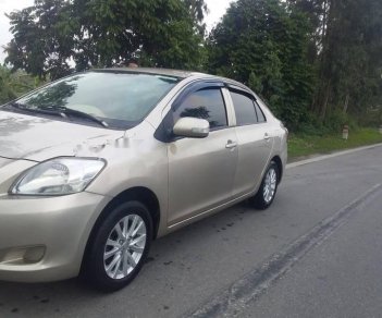 Toyota Vios E 2010 - Cần bán Toyota Vios E năm sản xuất 2010, màu bạc còn mới, 245tr