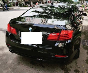 BMW 5 Series 520i 2016 - Bán ô tô BMW 5 Series 520i sản xuất 2016, 31000km, còn rất mới