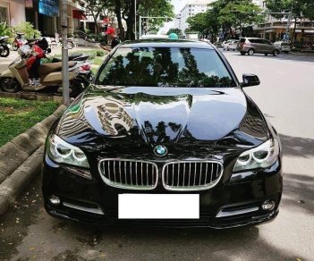 BMW 5 Series 520i 2016 - Bán ô tô BMW 5 Series 520i sản xuất 2016, 31000km, còn rất mới