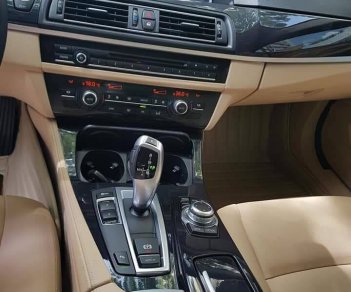 BMW 5 Series 520i 2016 - Bán ô tô BMW 5 Series 520i sản xuất 2016, 31000km, còn rất mới