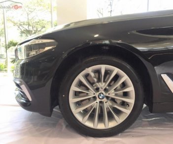 BMW 5 Series 530i 2019 - Bán ô tô BMW 5 Series 530i năm 2019, màu đen, xe nhập