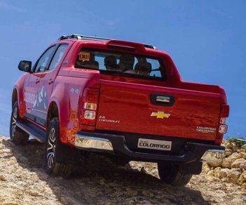 Chevrolet Colorado AT 2019 - Bán Colorado 1 cầu số tự động- ưu đãi giá tốt