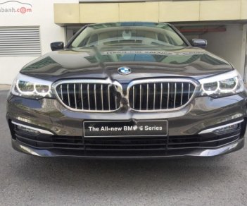 BMW 5 Series 520i 2019 - Cần bán xe BMW 5 Series 520i sản xuất 2019, nhập khẩu