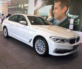 BMW 5 Series 530i 2019 - Cần bán xe BMW 5 Series 530i đời 2019, màu trắng, nhập khẩu nguyên chiếc