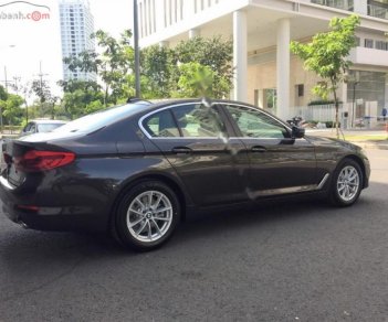 BMW 5 Series 520i 2019 - Cần bán xe BMW 5 Series 520i sản xuất 2019, nhập khẩu