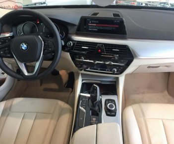 BMW 5 Series 520i 2019 - Cần bán BMW 5 Series 520i đời 2019, màu xanh lam, xe nhập