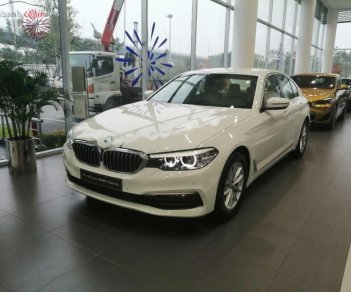 BMW 5 Series 520i 2018 - Bán BMW 520i All New G30, nhập khẩu, màu trắng, nội thất beige, xe có thể giao ngay với đầy đủ hồ sơ