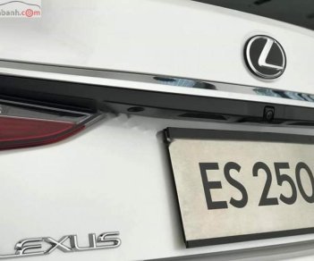 Lexus ES 250 2018 - Bán xe Lexus ES 250 đời 2018, nhập khẩu, mới 100%