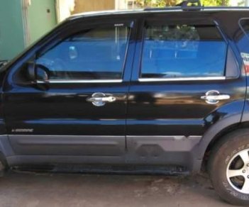 Ford Escape  MT 2003 - Bán Ford Escape MT năm sản xuất 2003, đã lên đủ đồ chơi