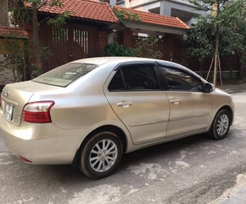 Toyota Vios E 2010 - Cần bán Toyota Vios E năm 2010, màu vàng