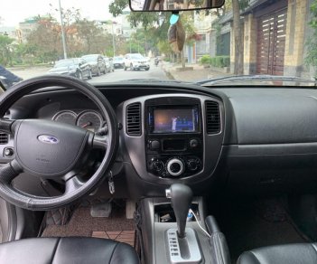 Ford Escape 2013 - Cần bán xe Ford Escape năm sản xuất 2013, màu xám ít sử dụng, 530 triệu